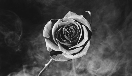 Mapplethorpe: Views Beyond the Shadows
